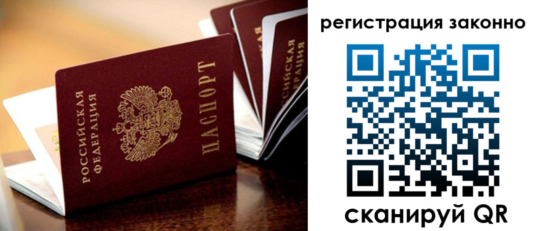 прописка для школы в Кашине